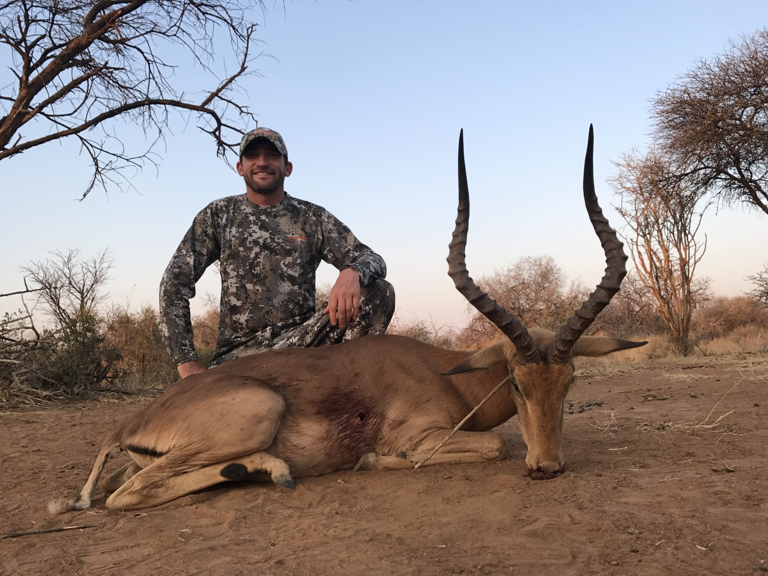 Impala ram - hunted in Limpopo South Africa