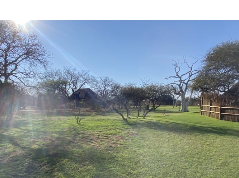 Bayly Sippel Safaris