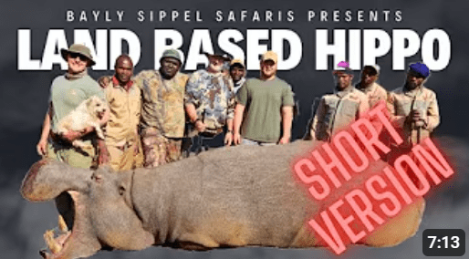 PURE ADRENALINE - Land based Hippo hunt (SHORT VERSION)