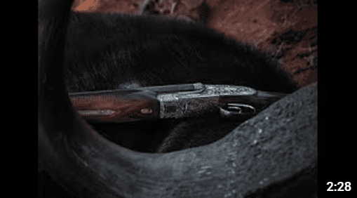 ANCIENT CAPE BUFF HUNT WITH A DOUBLE - BAYLY SIPPEL SAFARIS