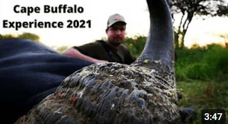 4K Cape Buffalo Hunting Experience 2021