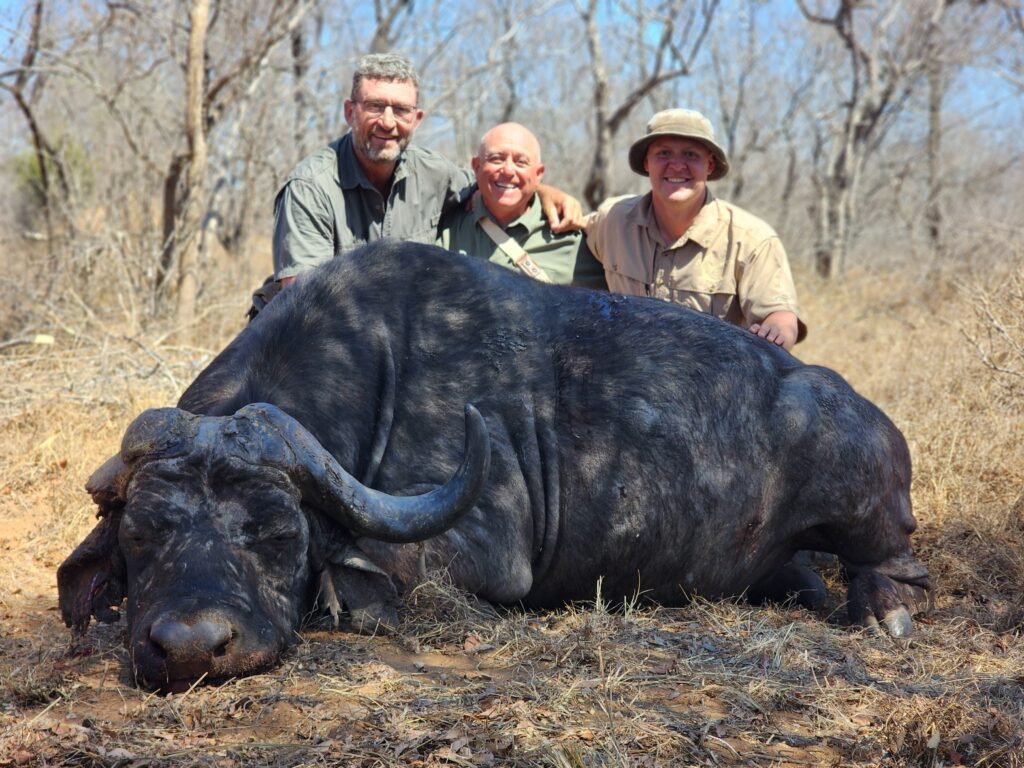 Cape buffalo hunt - Rigby3