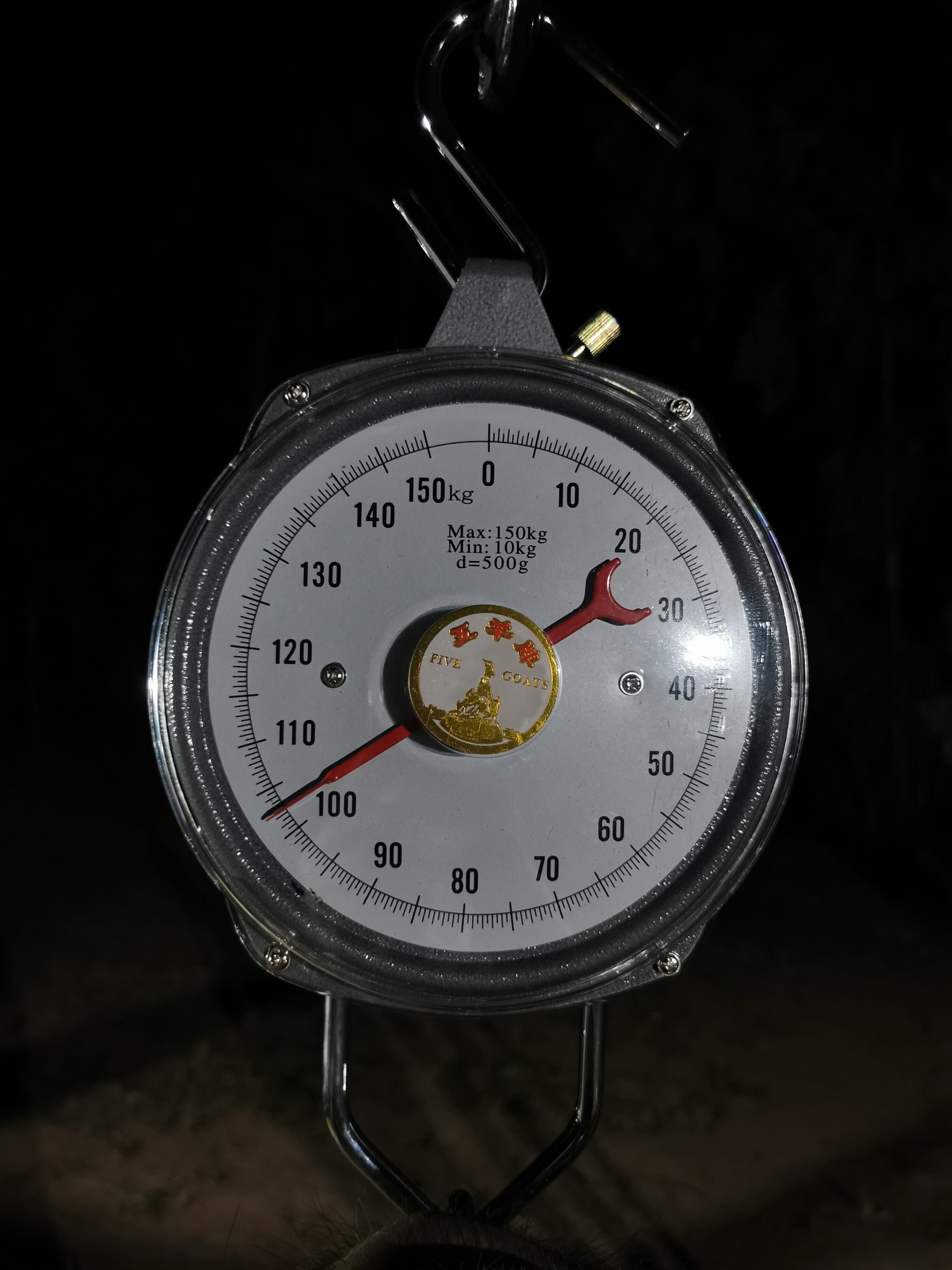 Weighing the Pig