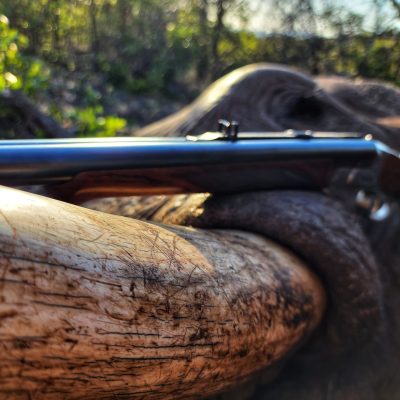 Copy of 20220726_161830-01