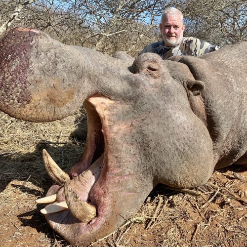 Hippo hunt