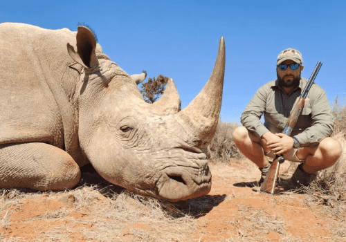 Screenshot 2025-03-06 224244