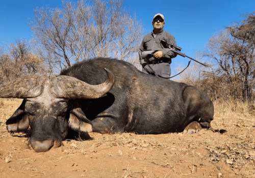 Screenshot 2025-03-06 224403