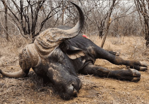 Screenshot 2025-03-06 224449