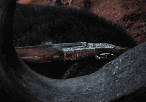 Screenshot 2025-03-06 224508