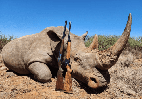 Screenshot 2025-03-06 224546