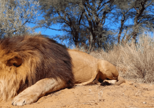 Screenshot 2025-03-06 224631