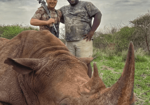 Screenshot 2025-03-06 224647