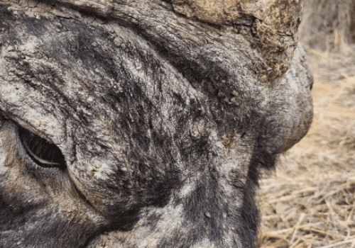 Screenshot 2025-03-06 224657