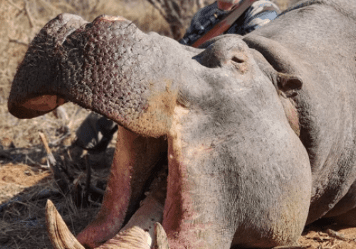 Screenshot 2025-03-06 224725