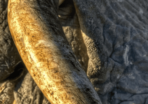 Screenshot 2025-03-06 224802