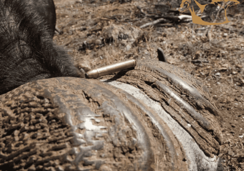 Screenshot 2025-03-06 224815