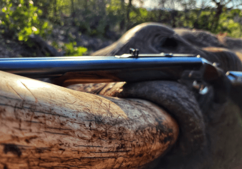 Screenshot 2025-03-06 224827