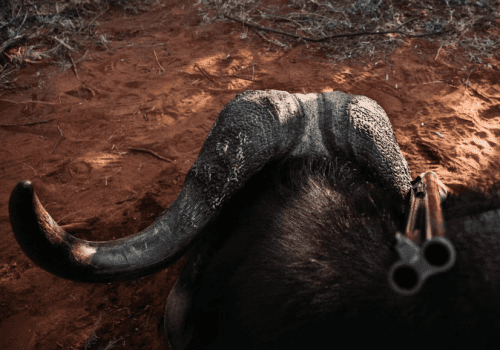 Screenshot 2025-03-06 224859