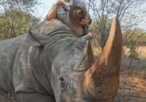 Screenshot 2025-03-06 224909