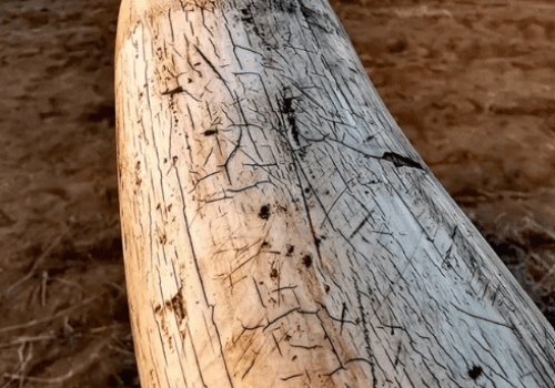 Screenshot 2025-03-06 224922