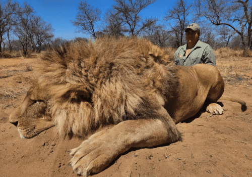 Screenshot 2025-03-06 225031