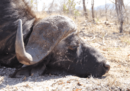 Screenshot 2025-03-06 225044