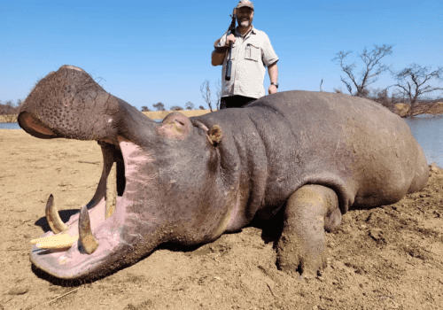 Screenshot 2025-03-06 225057