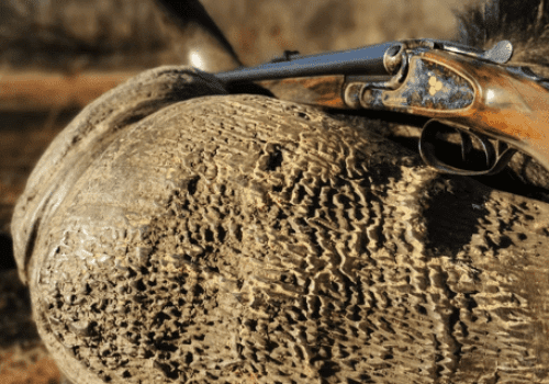 Screenshot 2025-03-06 225129