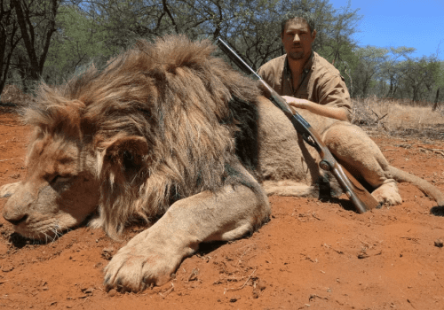 Screenshot 2025-03-06 225215