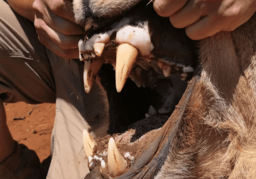 Screenshot 2025-03-06 225711