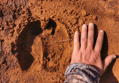 Screenshot 2025-03-06 225718