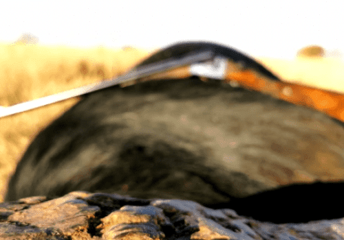 Screenshot 2025-03-06 225725