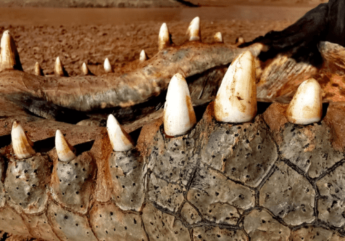 Screenshot 2025-03-06 225736