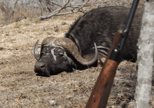 Screenshot 2025-03-06 225759