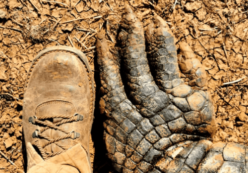 Screenshot 2025-03-06 225809