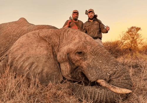 Screenshot 2025-03-06 225814