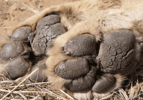 Screenshot 2025-03-06 225823