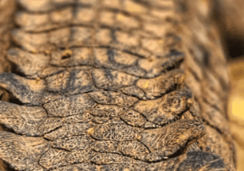 Screenshot 2025-03-06 225839