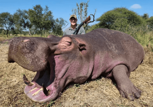 Screenshot 2025-03-06 225900