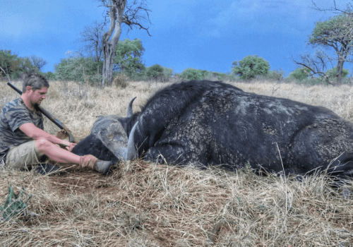 Screenshot 2025-03-06 225907