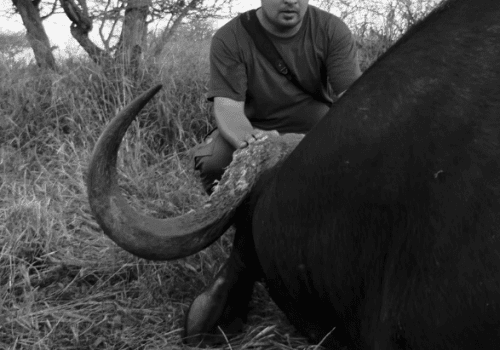 Screenshot 2025-03-06 225944