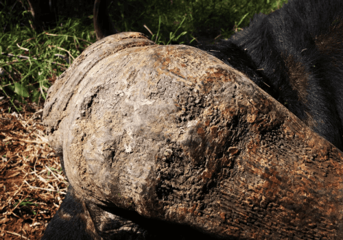 Screenshot 2025-03-06 225957