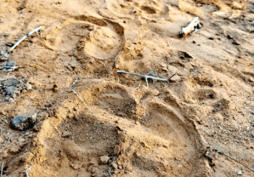 Screenshot 2025-03-06 230014