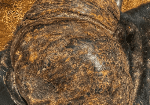 Screenshot 2025-03-06 230023