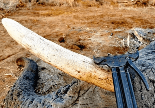 Screenshot 2025-03-06 230029