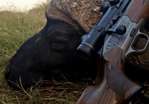 Screenshot 2025-03-06 230035