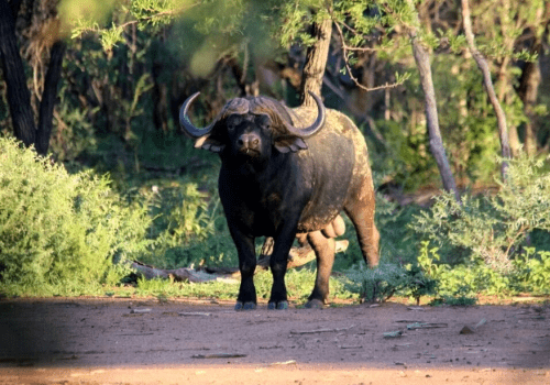 Screenshot 2025-03-06 230046