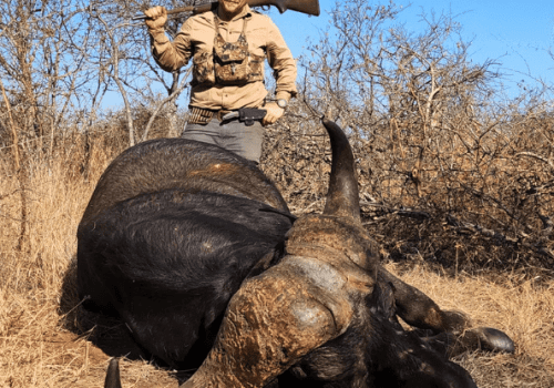 Screenshot 2025-03-06 230137